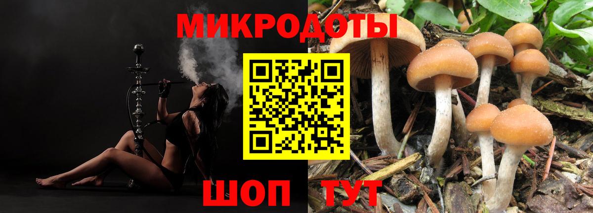 Богданович  Галлюциногенные грибы Psilocybine cubensis  Вход с VPN 