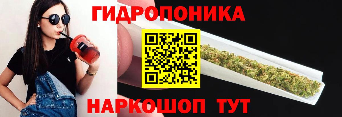 Бошки Шишки тримм Богданович